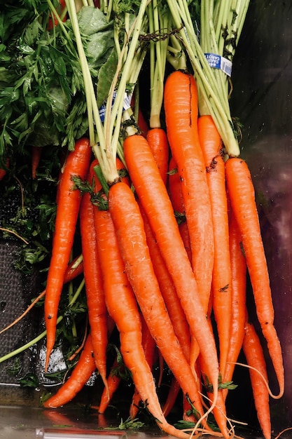 Orange carrots