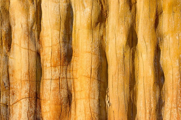 orange cement texture backgroundAbstract background