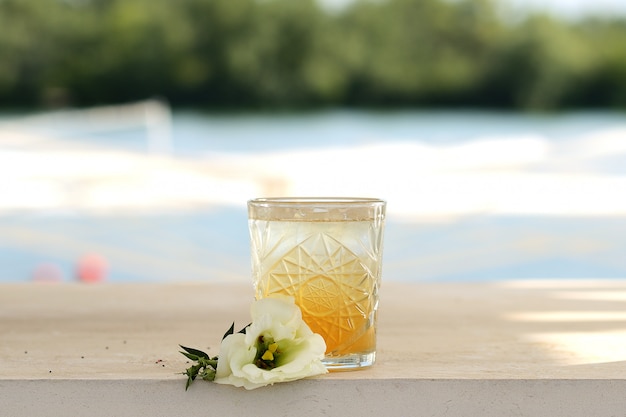 Orange cocktail in a glass. With flower decor