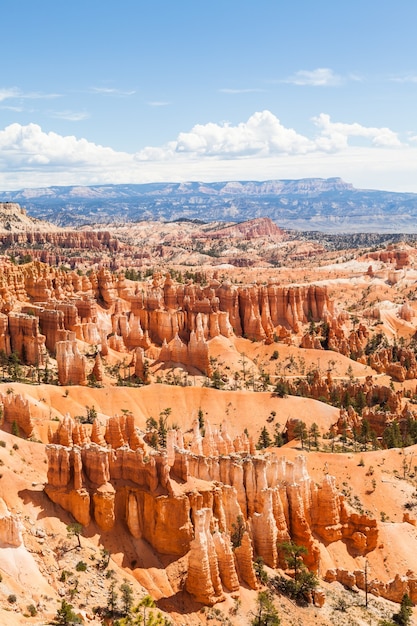 Orange colours in this iconic view of Bryce Canyon National Park, USA