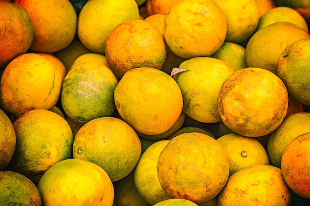 Orange crop harvest in brazil on winter in a cloudy day