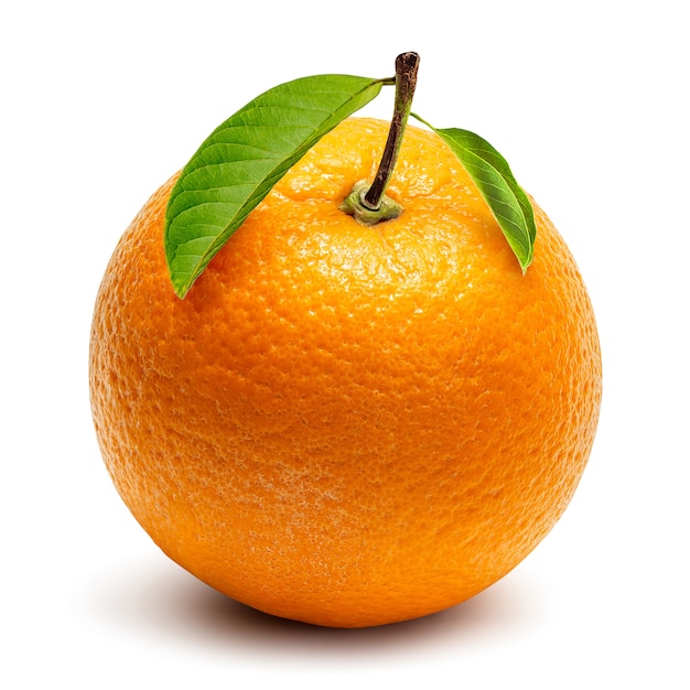 Orange crop isolated