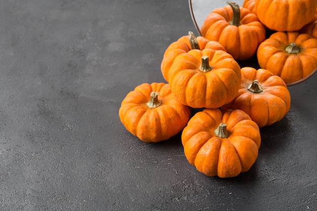 Orange decorative pumpkins with reflection in round mirror. Autumn and Halloween stylish home decor.