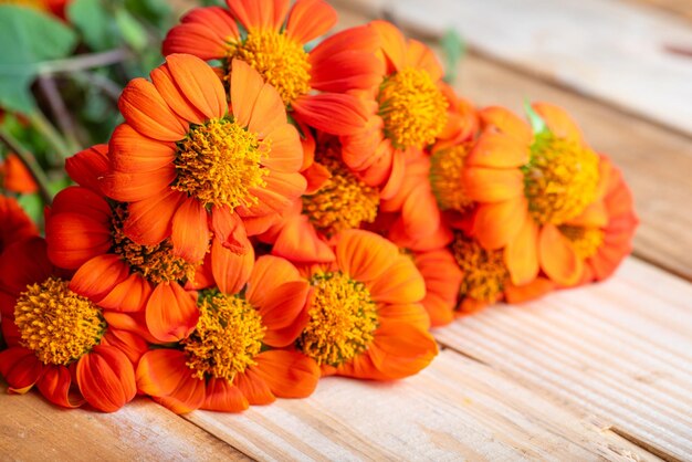 Orange flower beautiful orange flower in detail with light background on rustic wood selective focus