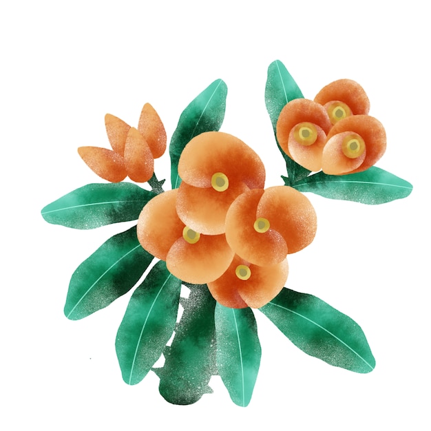 Orange flower branch