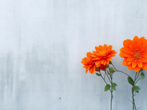 Orange flowers against a gray wall ai generated