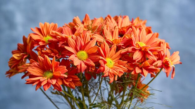 灰色の背景の美術にオレンジ色の花