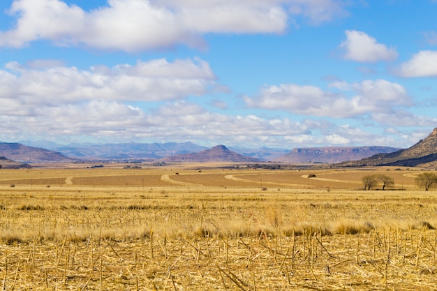 Orange Free State panorama, South Africa