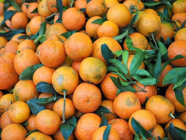 Orange fruit food