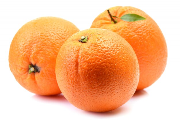 고립 된 오렌지 과일