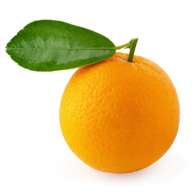 Orange fruit isolated