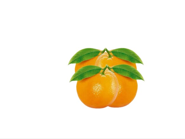 Orange fruit on a white background