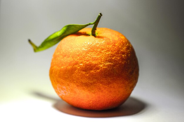 Orange fruit in white background