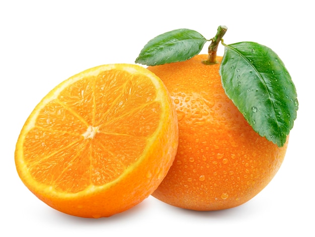 Orange fruit on white background