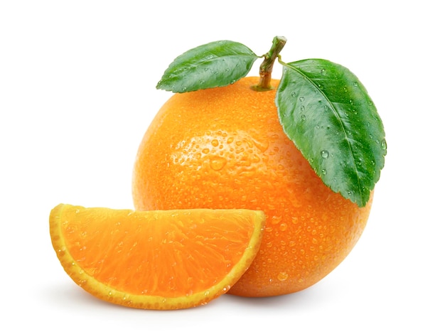 흰색 바탕에 오렌지 과일
