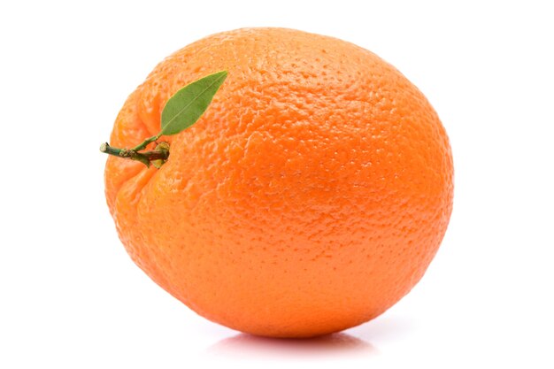 Orange fruit on white background