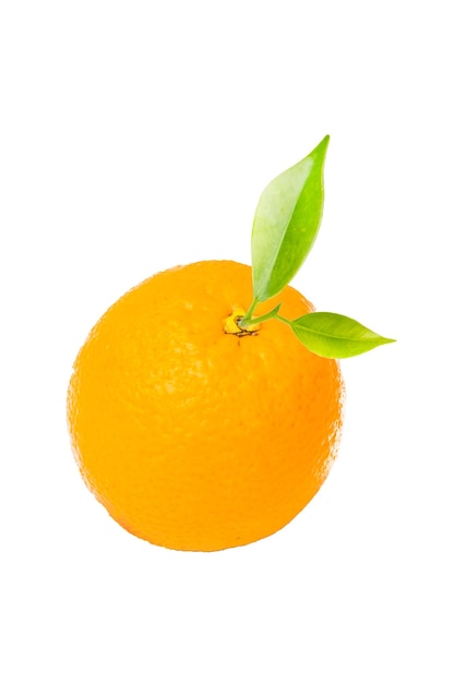 白い背景の上のオレンジ色の果実
