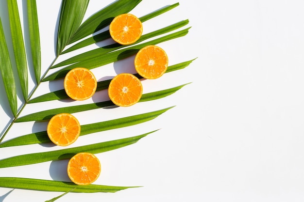 Orange fruits and leaves