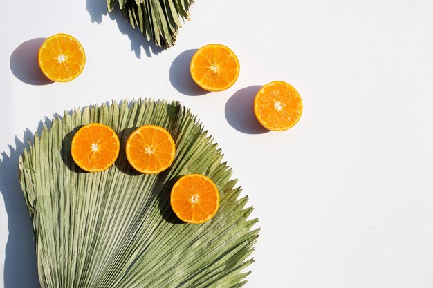 Orange fruits and leaves