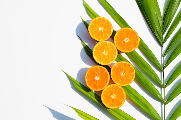 Orange fruits and leaves