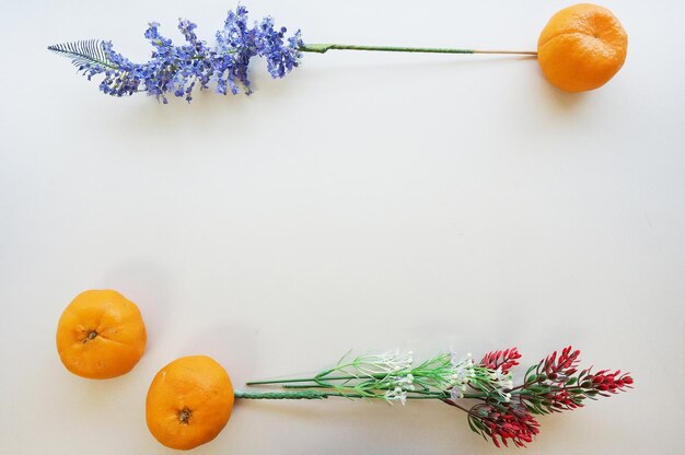 Orange fruits on table against white background