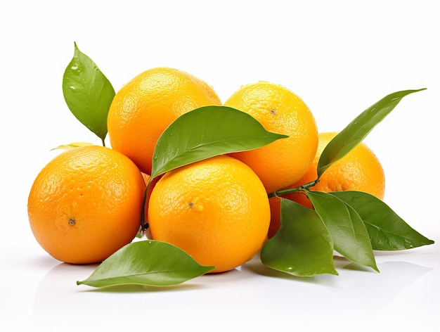 Photo orange fruits with branch and green leaves