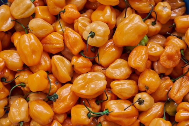 Orange habanero peppers placed on a shelf for sale inside a market