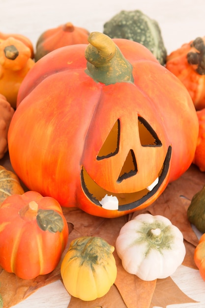 Orange Halloween pumpkin and many small pumpkins