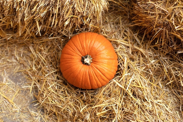 写真 晴れた日に干し草やわらのスタックにオレンジ色のハロウィーン カボチャ