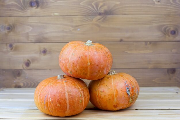 Orange halloween pumpkins on white planks, holiday decoration.