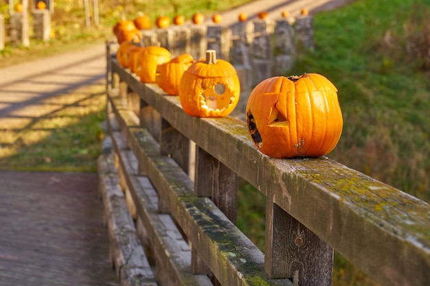 Orange halloween pumpkins on the wooden bridge