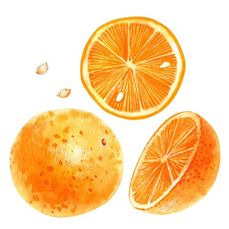 Photo orange hand drawn watercolor illustration isolated on white for your design