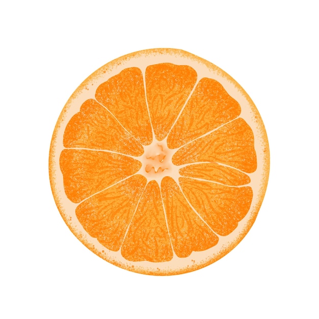 Orange illustration color painting