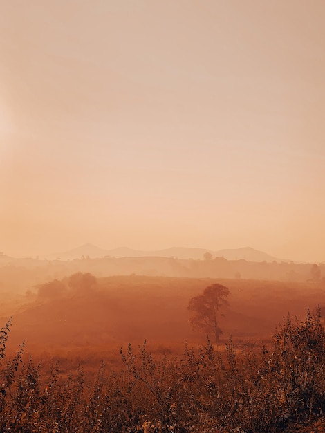 Photo orange landscape