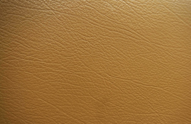 Orange Leather Sofa texture.