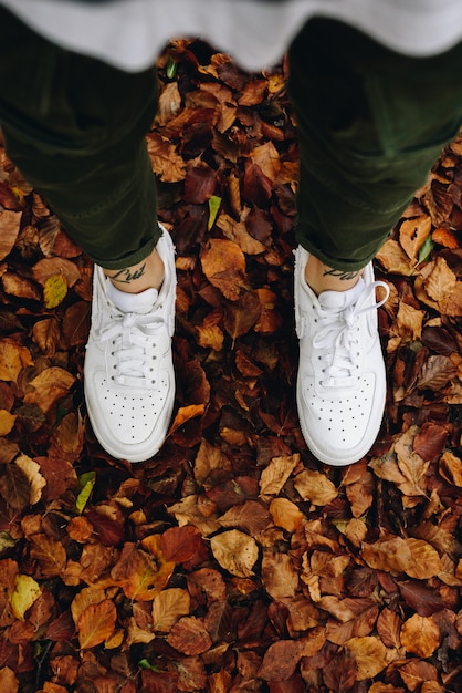 写真 オレンジの葉と秋の白い靴