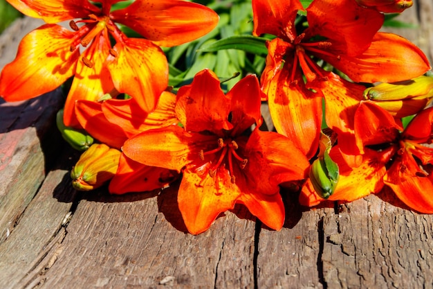 Orange lilies on rustic wooden background