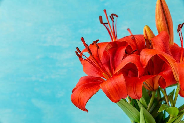 Orange lily flowers bouquet on blue background Wedding or Mothers day card with copy space Close up