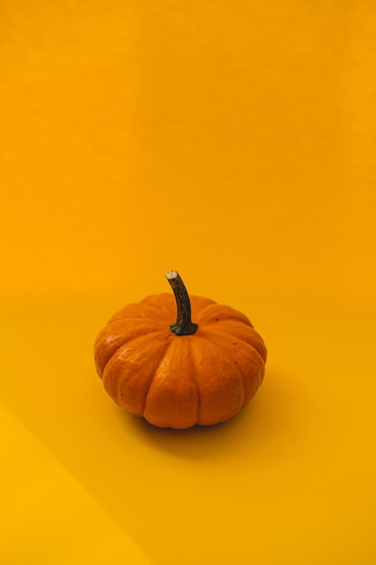 Orange little pumpkin in minimalist style on yellow