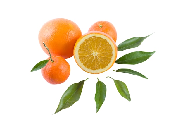 Orange and mandarins with leaves isolated close up