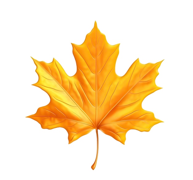 Orange maple leaf isolated on white or transparent background cutout Generative AI illustration