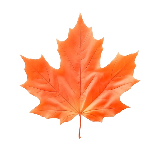 Orange maple leaf isolated on white or transparent background cutout Generative AI illustration