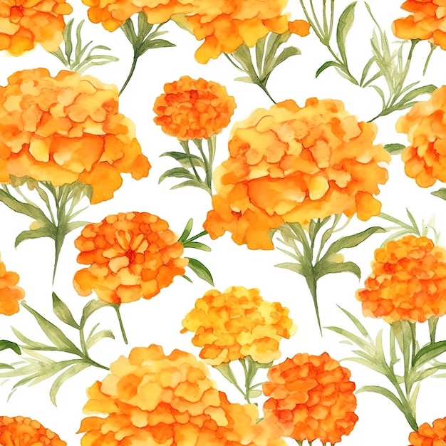 Orange marigold flowers on a white background