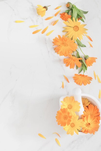 orange marigold flowers on white marble background