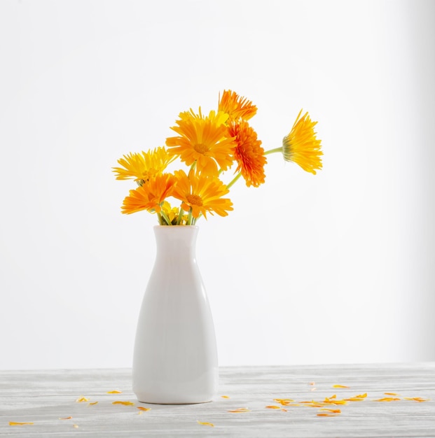 Photo orange marigold in white vase on white background