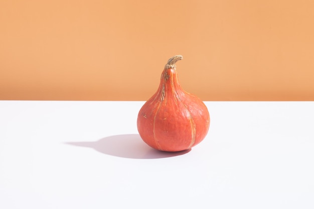 Orange mini pumpkin with hard shadow on white orange background