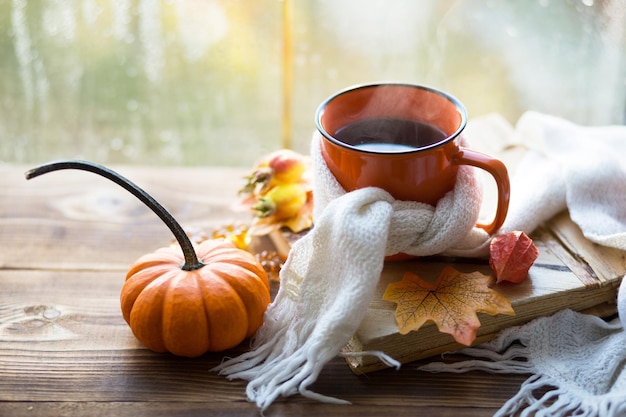 An orange mug in a scarf with hot tea pumpkins yellow dry maple leaves a book on the windowsill raindrops on the window autumn mood