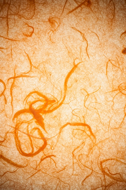 Photo orange mulberry paper.