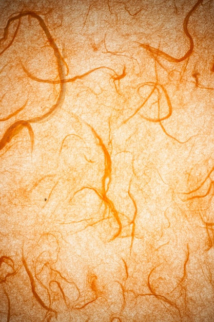 Orange mulberry paper.