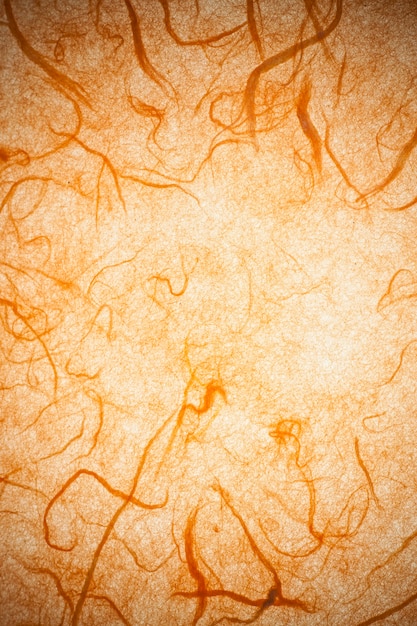 Photo orange mulberry paper.